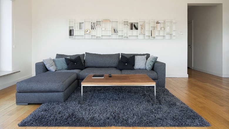 Fluffy gray living room carpet