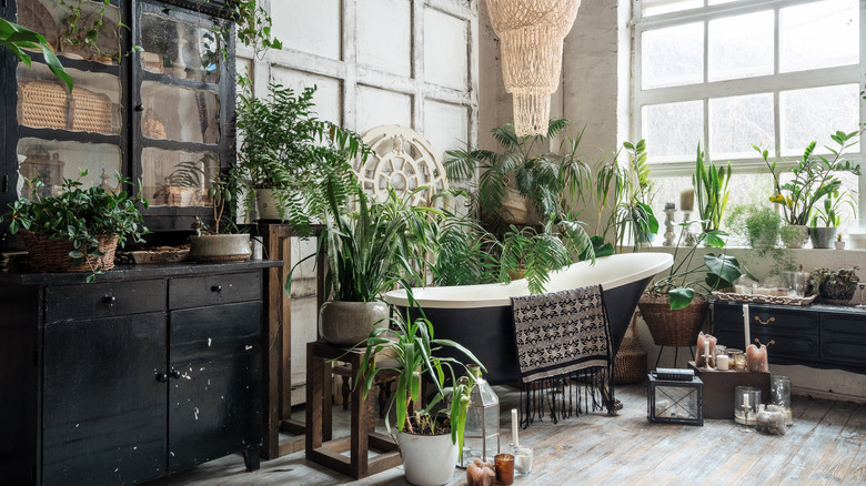 bathroom filled with plants