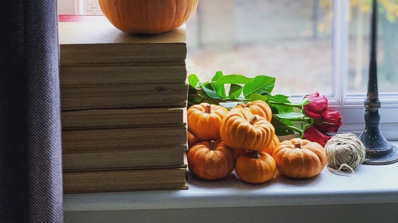 small orange pumpkins 