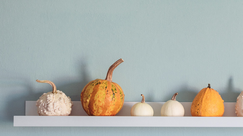 floating shelf pumpkins