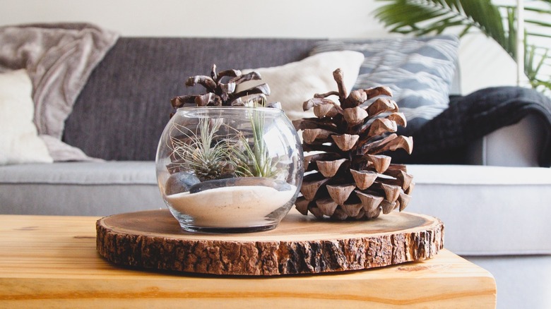 pine cone fall decor 