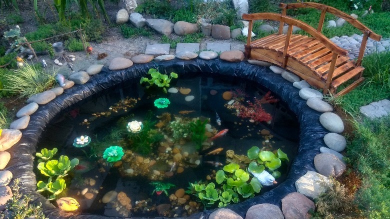 Pond with decorative bridge