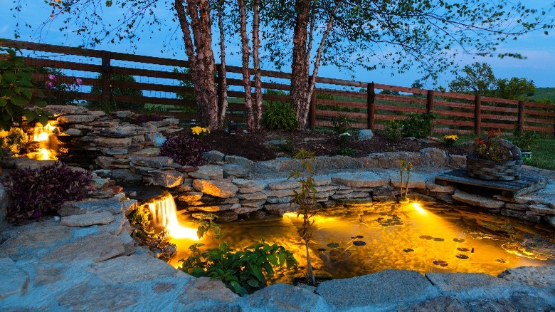 Lit pool in backyard