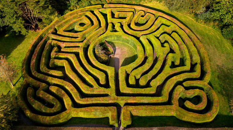 Labyrinth maze in a yard