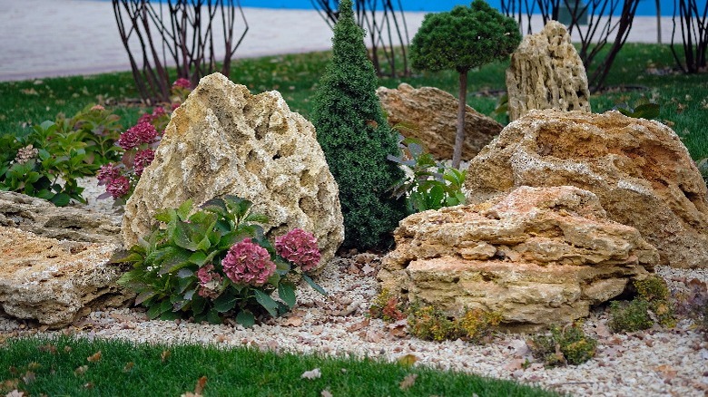 Big rocks in backyard