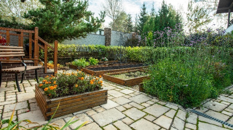 Raised beds in paved lawn