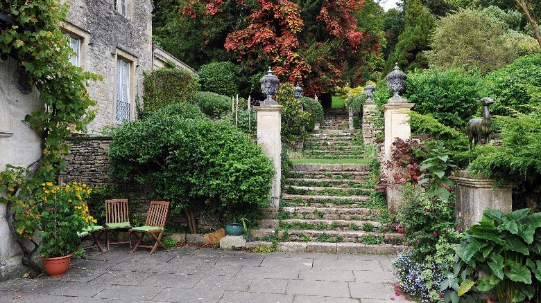 Steps with grass growing