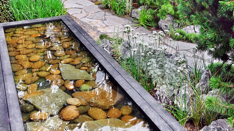 Raised pond beside path