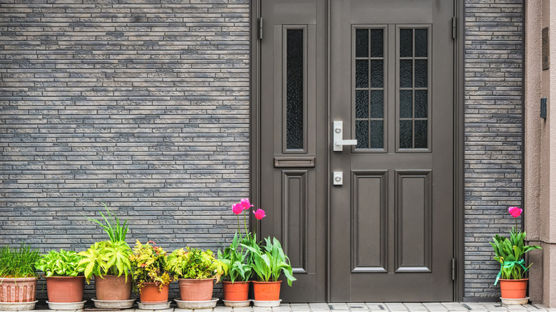 gray home with potted plants 