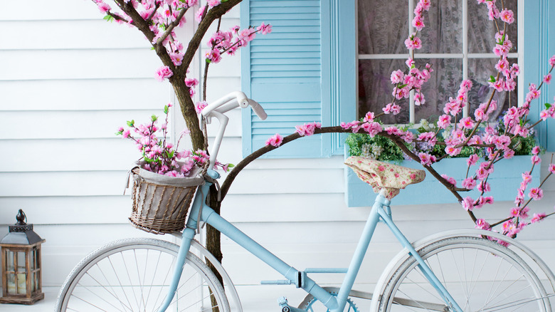 porch with cherry tree 