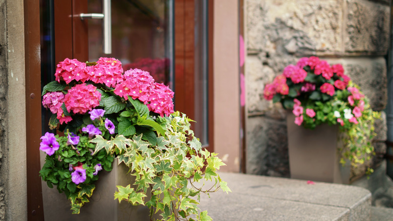 bright flowers on porch 