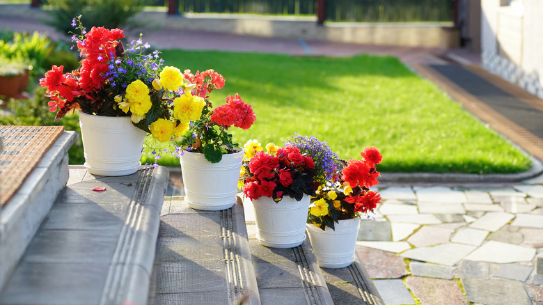 flowers on stairway 