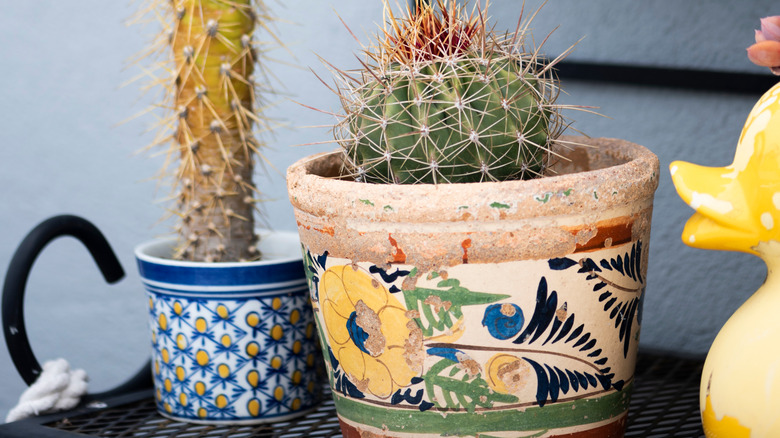 potted plants on porch 