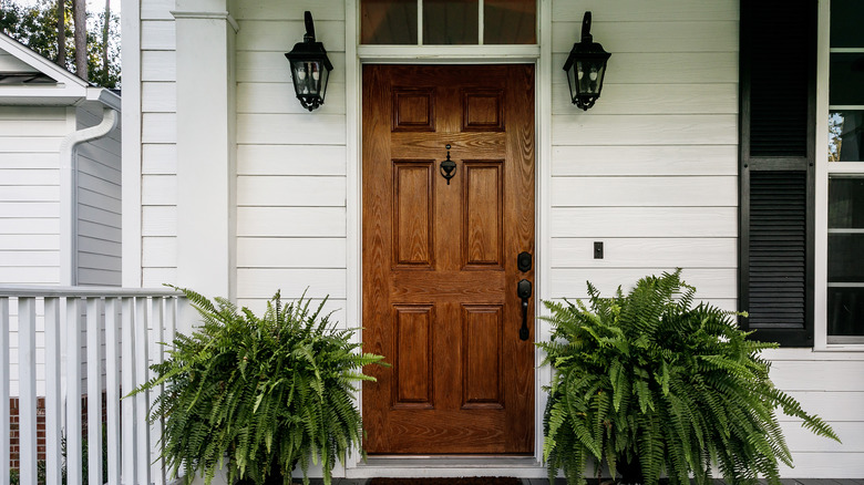 ferns on porch 