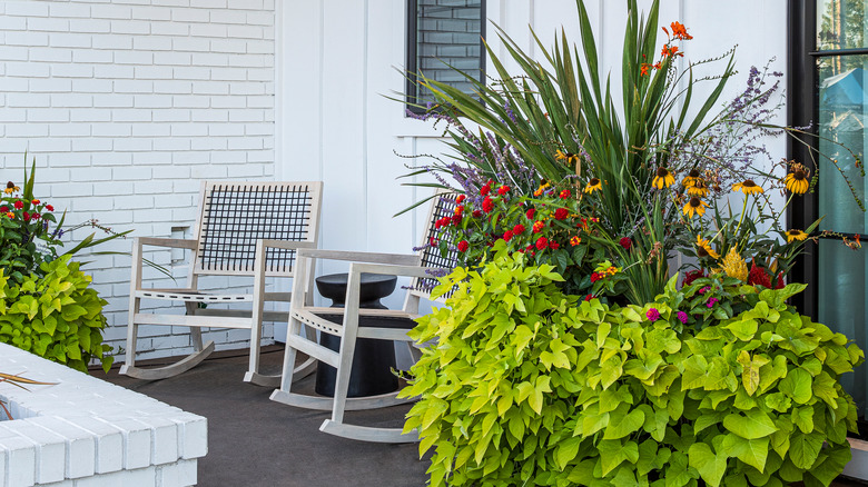 porch with lush greenary 