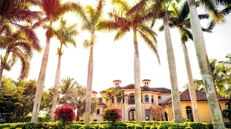 giant palm trees in front of mansion