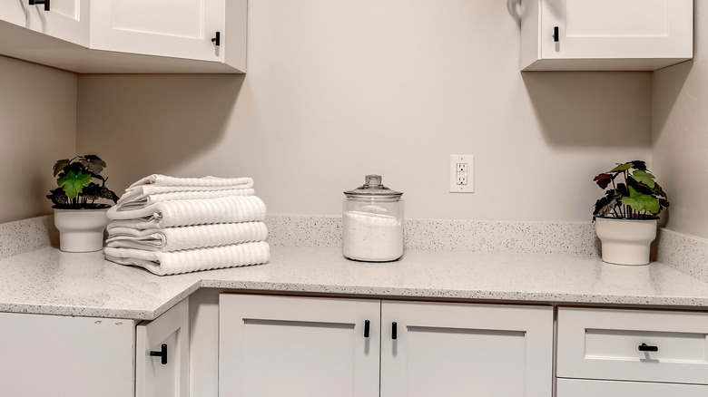 laundry room with cabinets 