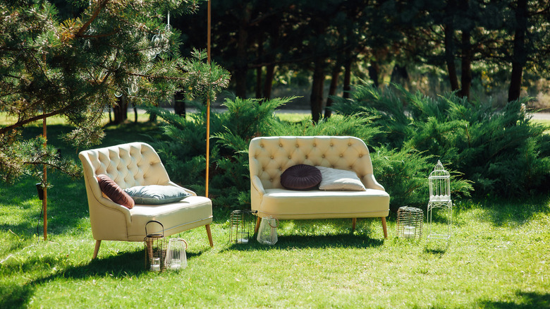 two couches on grass