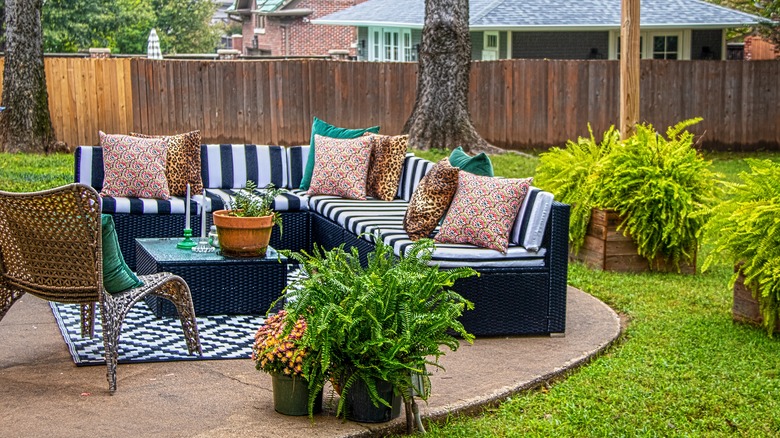 blue striped couch