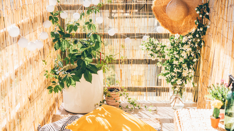 balcony decorated with bamboo