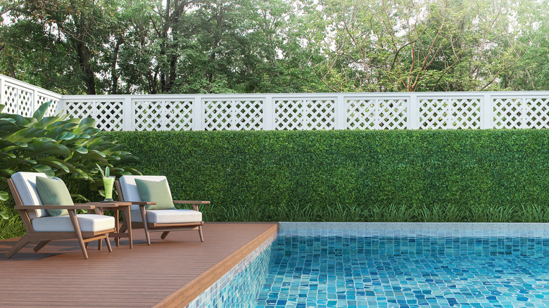 pristine hedges around a pool