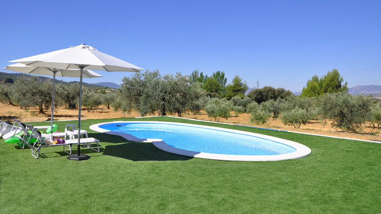 simple pool surrounded by wild trees