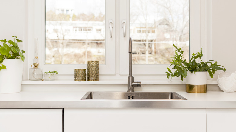 Sink with greenery surrounding