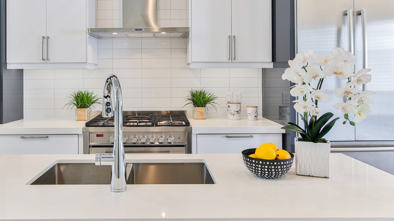 Minimalist modern kitchen