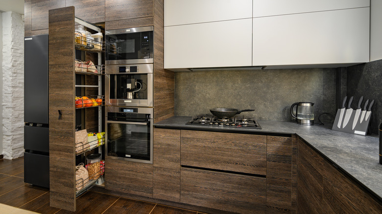 Modern kitchen with pull out pantry