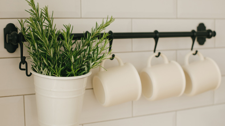 Hanging mugs and rosemary