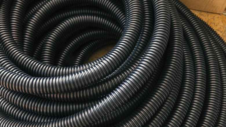 black garden hose coil