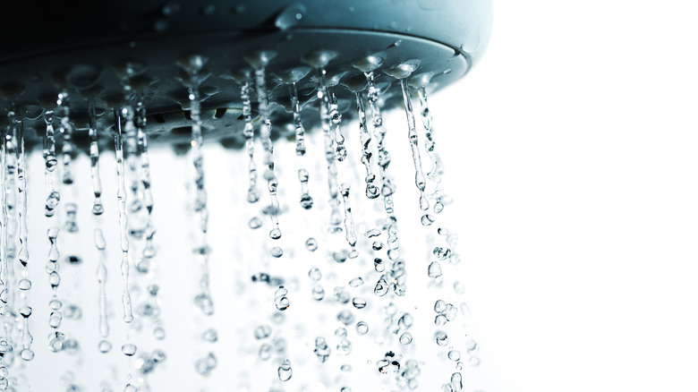 rain style shower head