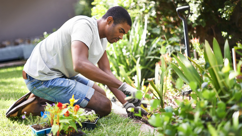 person gardening