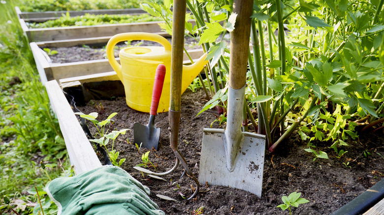 garden shovels stuck in garden