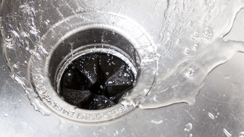 garbage disposal in stainless steel sink