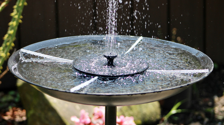 Solar fountain in bird bath