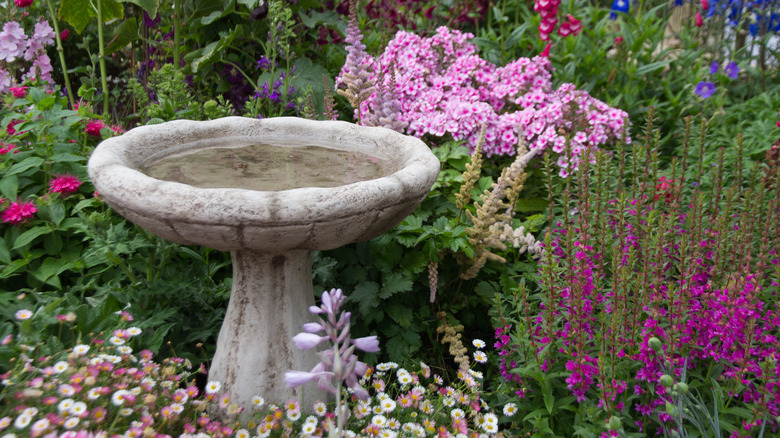 Bird bath surrounded by flowers