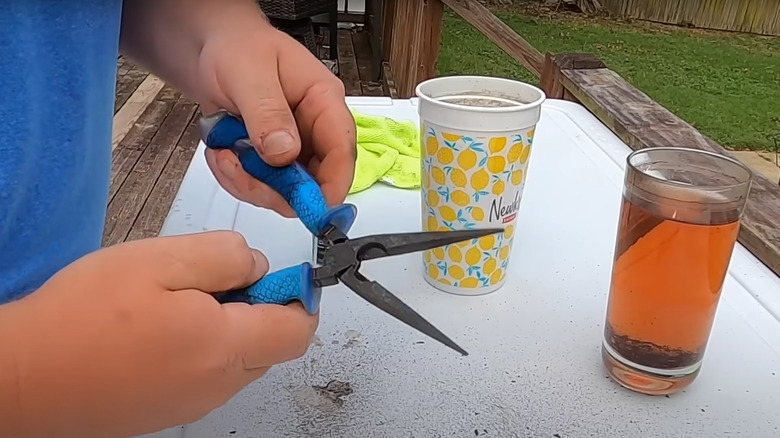 man tesing rust-free vintage pliers in cups of vinegar