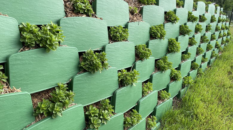 A tall retaining wall made from hollow blocks with plants growing in the cavities