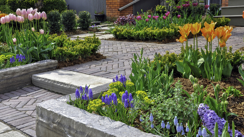 Pavers and short retaining walls that house garden beds filled with pretty flowering plants