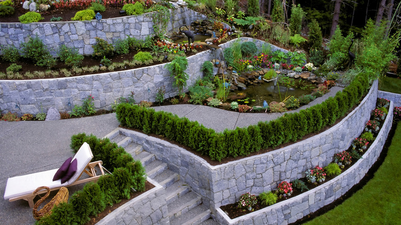 A large sloping garden terraced with retaining walls and multiple garden beds