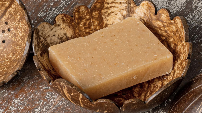 Soap dish made from coconut shell