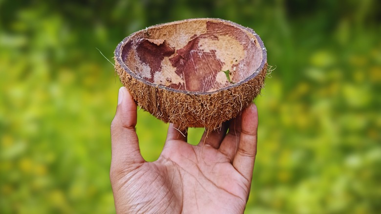 Hand holding empty coconut shell