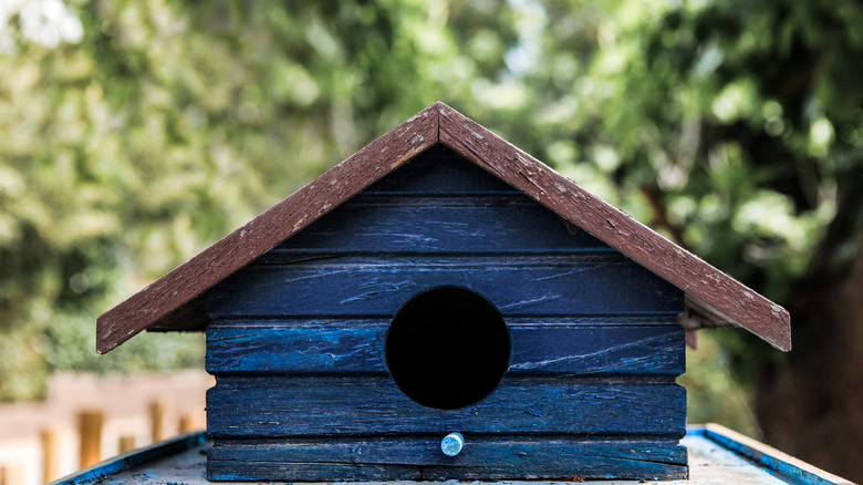 Dark blue birdhouse with brown roof