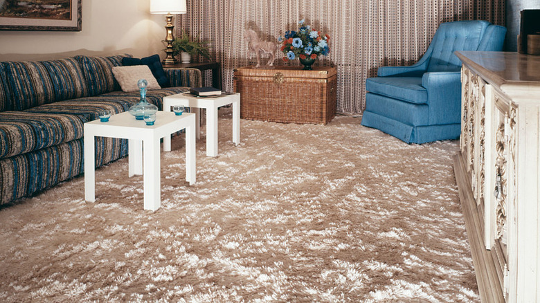 shag carpet in living room