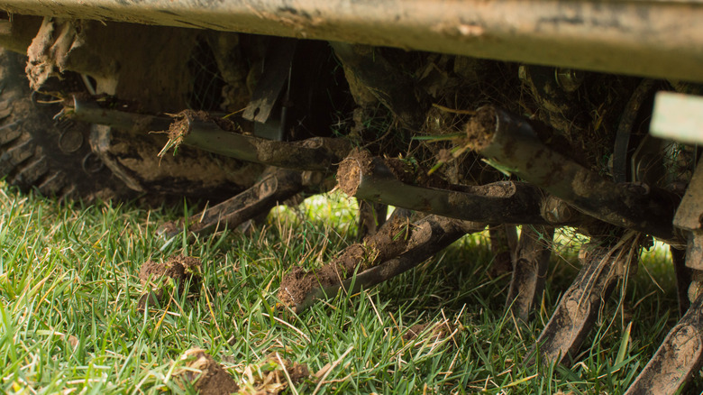 Tow-behind core aerator on a cool-season lawn