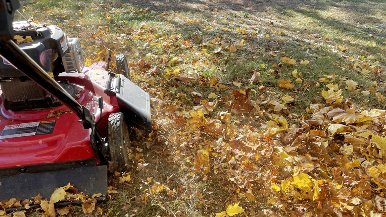 Lawn mower mulching piles of leaves