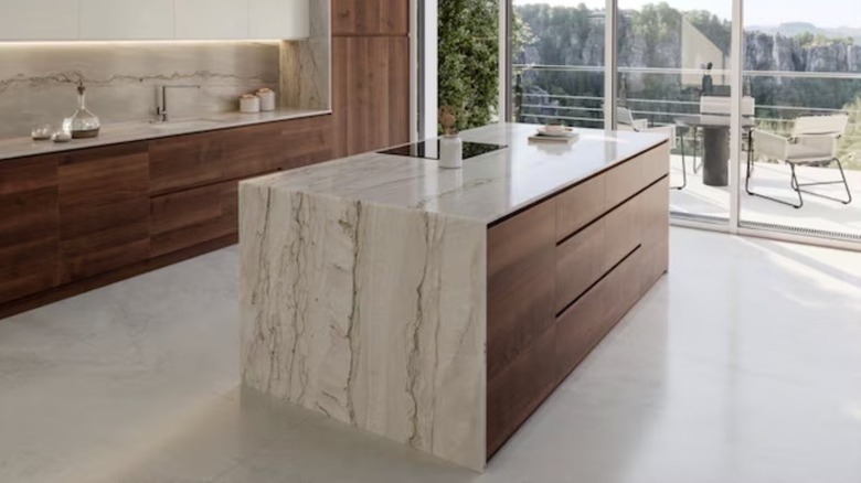 A modern kitchen with quartzite countertops