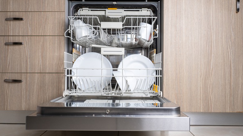 Dishwasher in kitchen