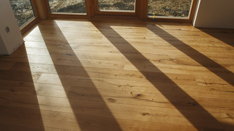 sunlight hitting flooring